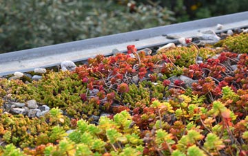 the cost of Chowdene green roof installation